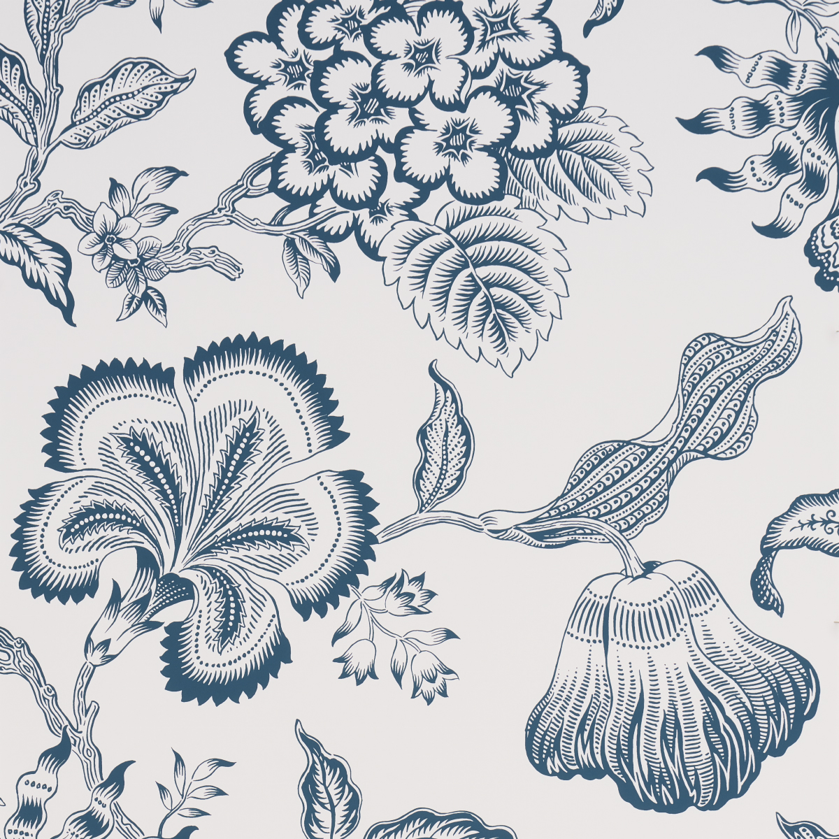 Hothouse Flowers Silhouette - Peacock On White Wallpapers | Schumacher