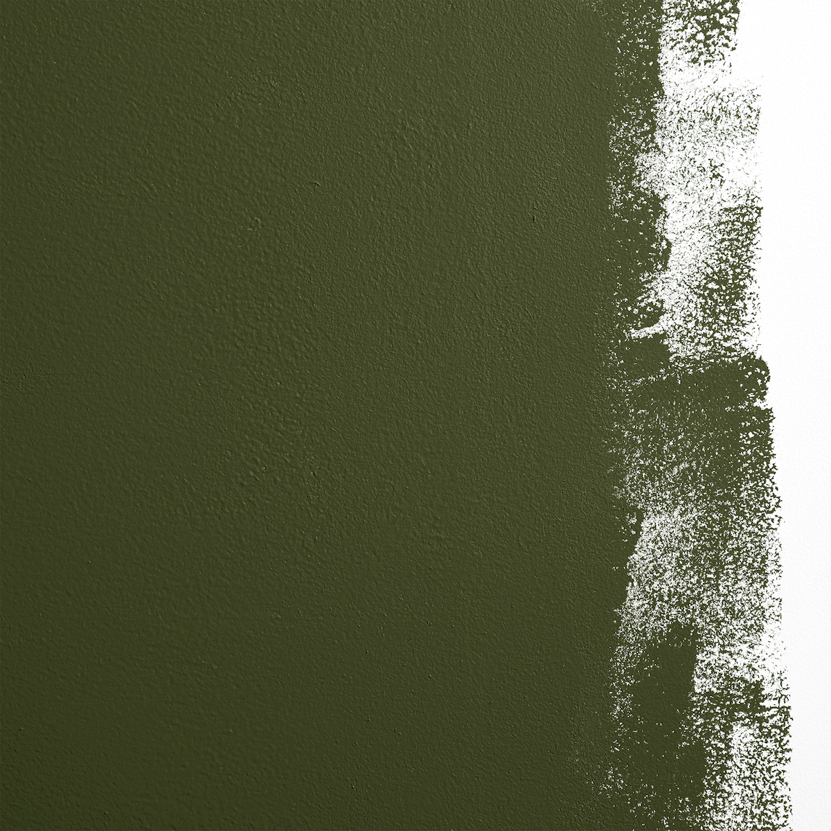 Night On Earth - Dark Olive Green Paint | Schumacher
